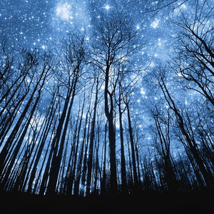 色999日韩欧美自拍
